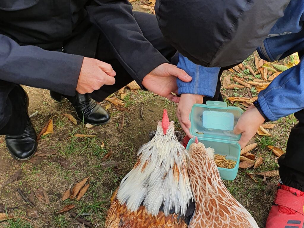 Co Pädagogen der tiergestützten Intervention